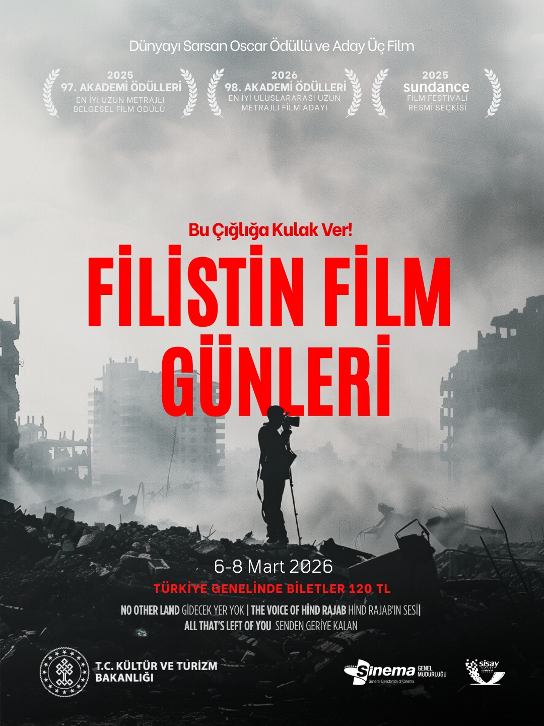 Sinema Salonları Yatırımcıları Derneği (SİSAY) 